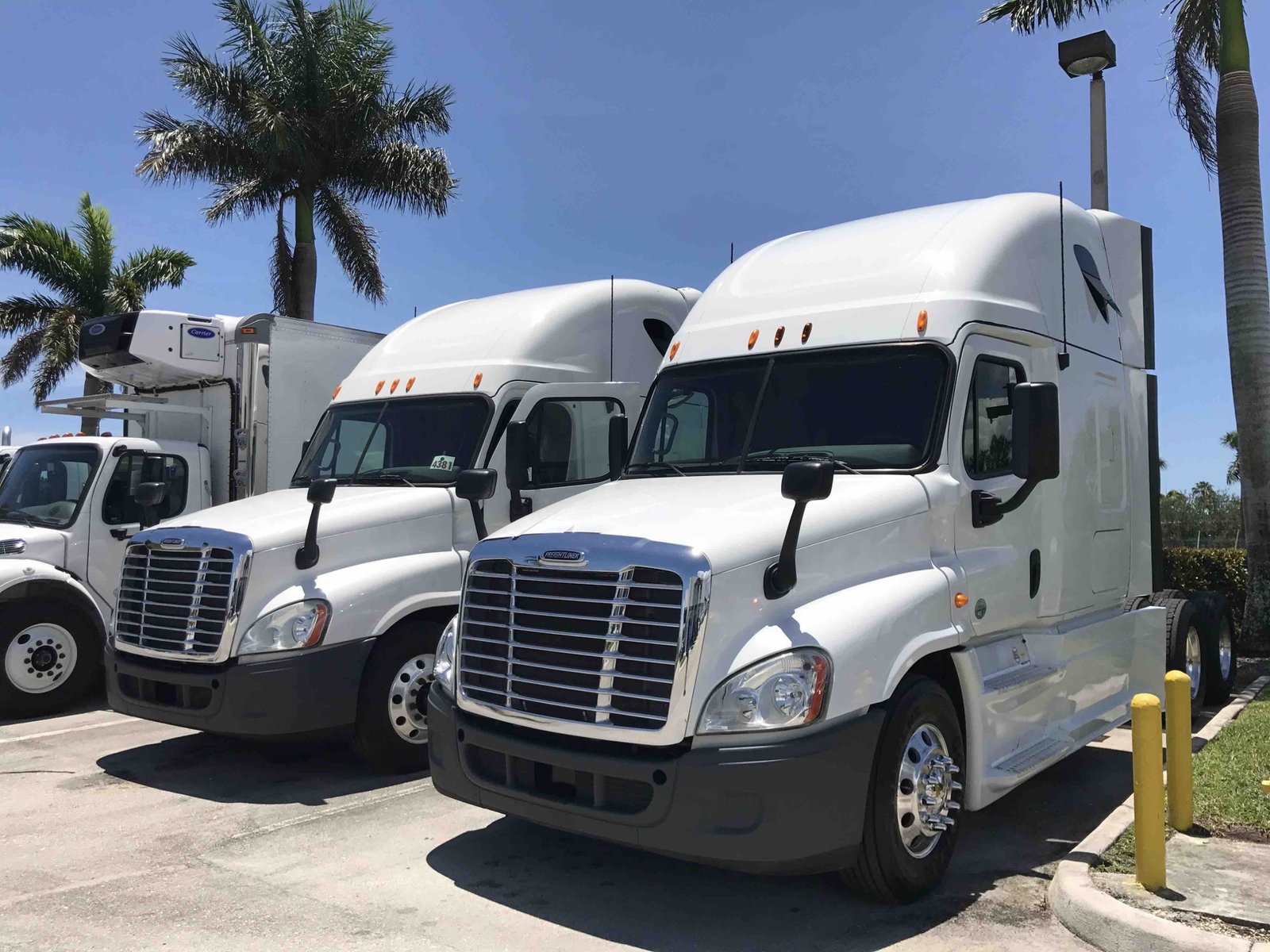 Two white semi-truck tractors parked side by side under a clear blue sky